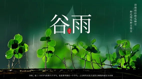 谷雨二十四节气海报设计 谷雨二十四节气海报设计