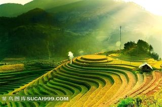 有如人间仙境的田园风光