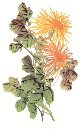 写意花卉艺术绘画摄影图片