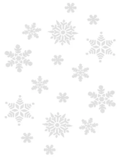 雪花 PNG免抠(850x1100)