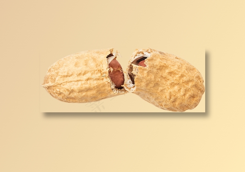 00_Peanut