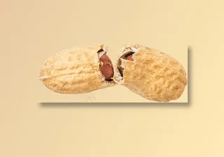 00_Peanut