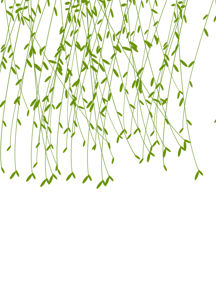 春天绿色春季水墨柳树柳条柳叶春季海报设计PNG免扣素材