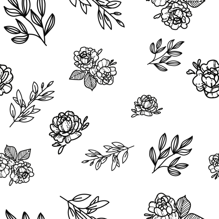 可爱植物透明背景简笔画