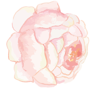 唯美森系手绘水彩花朵 免抠