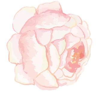 唯美森系手绘水彩花朵 免抠