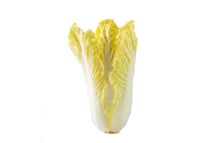 娃娃菜蔬菜素材免扣