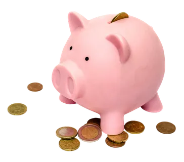 存钱罐小猪实物