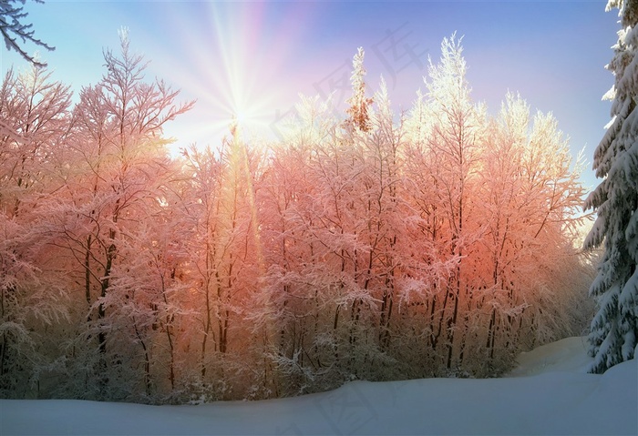 美丽的冬季雪山景色摄影图