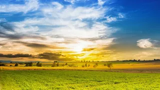 冬天自然背景风景