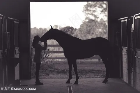 美女与骏马亲吻剪影图片