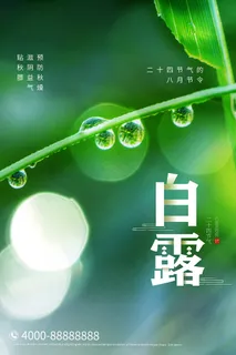 创意中国风白露节传统节气海报