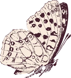 卡通动画动画蝴蝶免扣PNG手绘插画图片素材 (156)