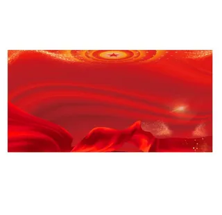 红色喜庆红色党建展板