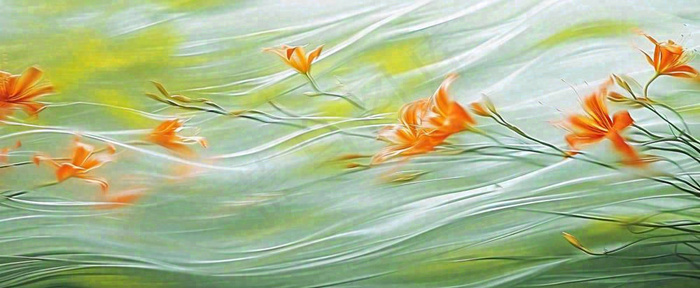 橙色鲜花意境流水渐变朦胧背景(1712x704)
