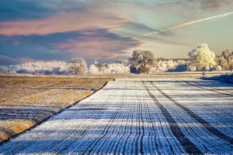 冬天自然背景风景