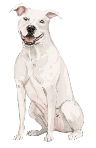 狗狗水彩画插画免扣素材可爱宠物狗