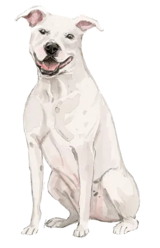狗狗水彩画插画免扣素材可爱宠物狗