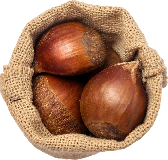 07_Chestnuts Bag