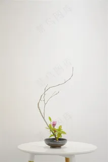 室内日式插花