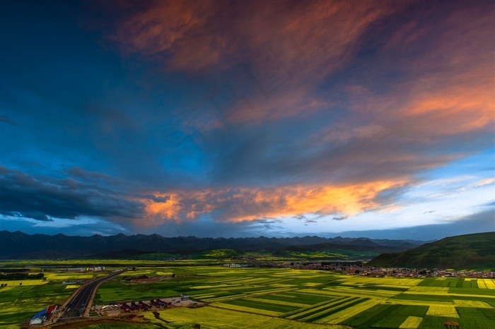 青海门源油菜花风景高清图