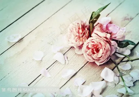 木板上的玫瑰花图片 木板上的玫瑰花图片