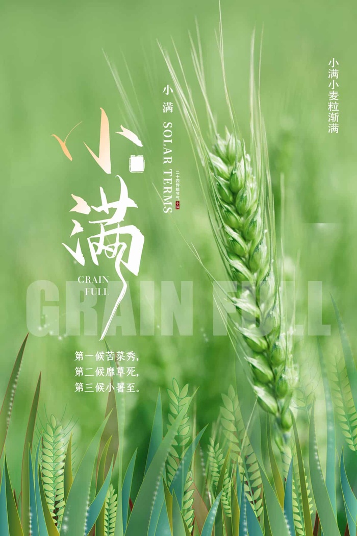 小满 传统二十四节气