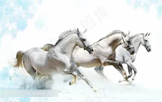 水里骏马奔腾图片下载