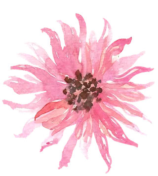 唯美森系手绘水彩花朵 免抠