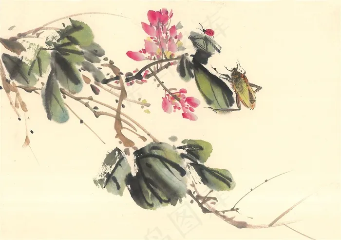 昆虫花草欣赏花图片素材
