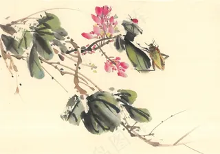 昆虫花草欣赏花图片素材