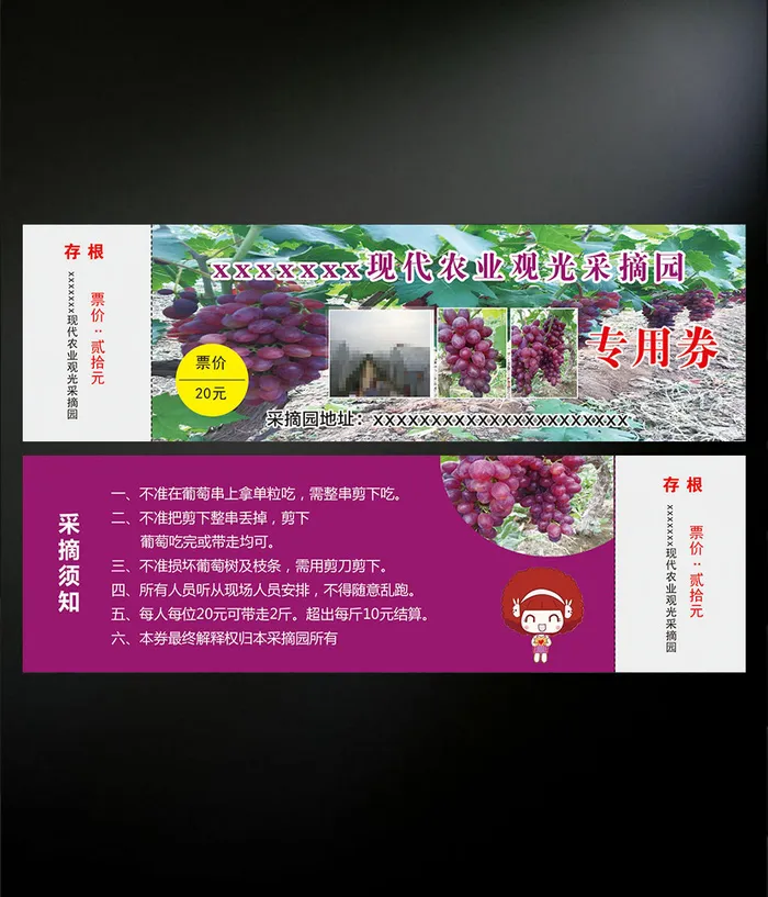 葡萄采摘园门票设计