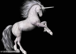 天马独角兽高清图片
