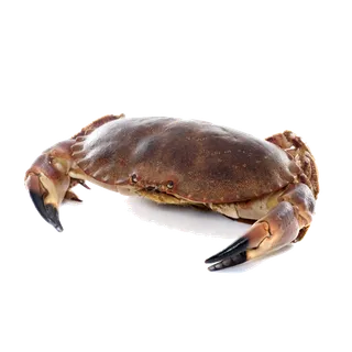 螃蟹(16)海鲜超市商品红酒白底图免抠实物摄影png格式图片透明底