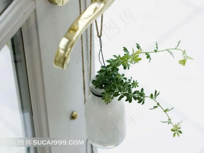 吊着的瓶子和绿色植物素材图片