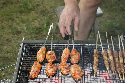 野炊烤鸡翅和羊肉串图片 野炊烤鸡翅和羊肉串图片