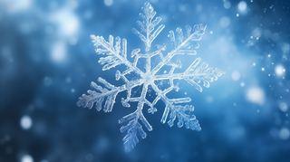 冬季雪花细节图