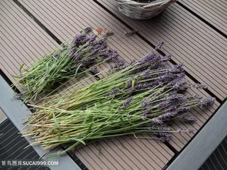 高清木板上的薰衣草花束图