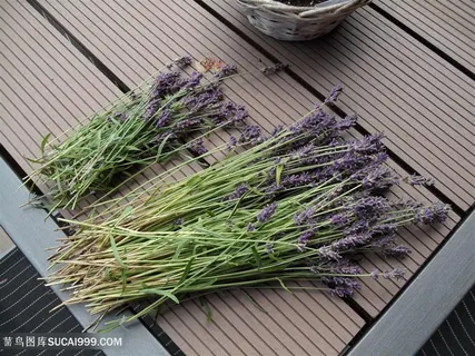 高清木板上的薰衣草花束图 高清木板上的薰衣草花束图