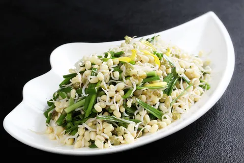 L01542韭香绿豆芽4