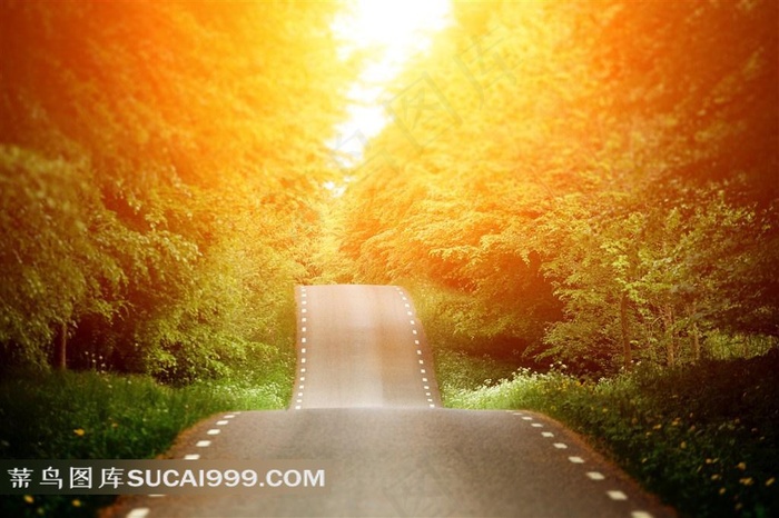 充满曙光的道路