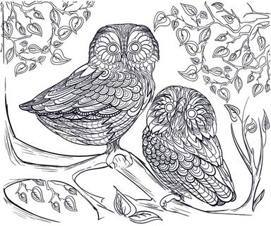 卡通手绘猫头鹰黑白线描线稿