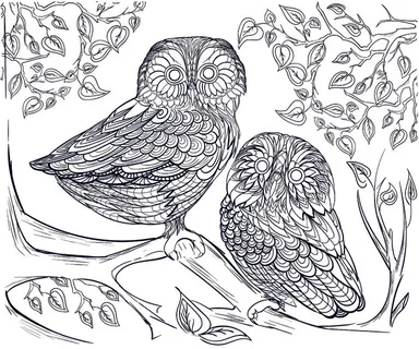 卡通手绘猫头鹰黑白线描线稿