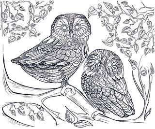 卡通手绘猫头鹰黑白线描线稿