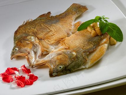 HQ-741炭烧鲈鱼