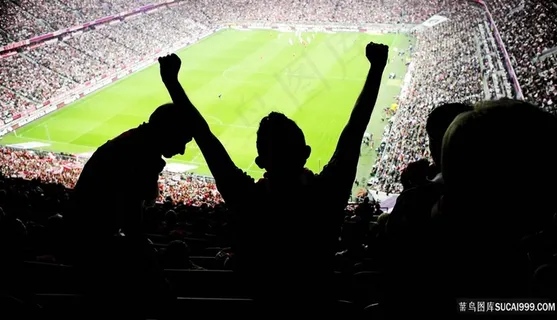 足球场欢呼人物背景高清图片