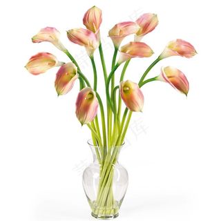 插在瓶子里的百合