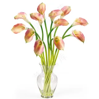 插在瓶子里的百合