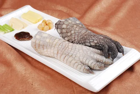 1009CS-0087红焖鳄鱼掌