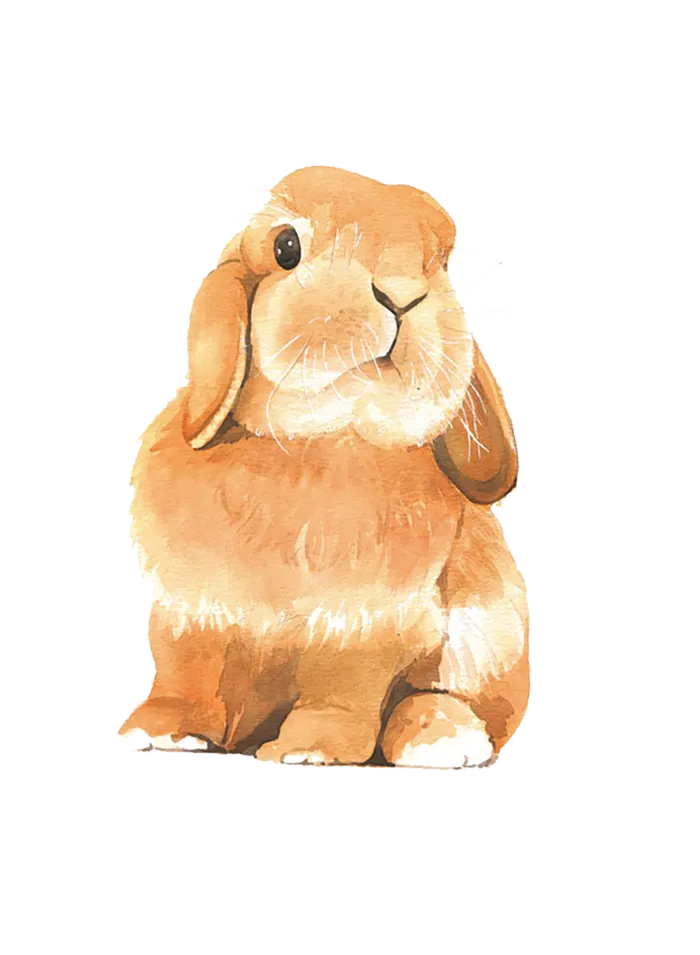 毛绒兔兔子